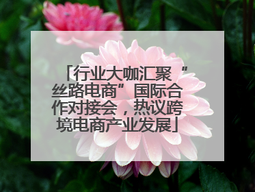 行业大咖汇聚“丝路电商”国际合作对接会，热议跨境电商产业发展