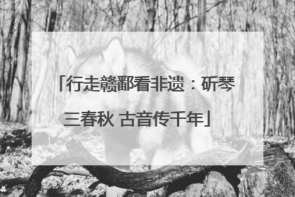 行走赣鄱看非遗：斫琴三春秋 古音传千年