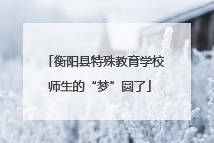 衡阳县特殊教育学校师生的“梦”圆了