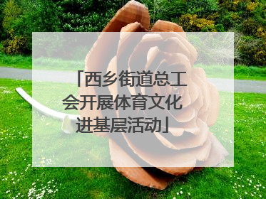 西乡街道总工会开展体育文化进基层活动