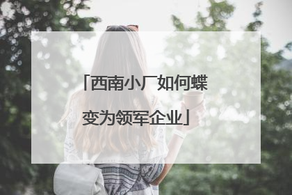 西南小厂如何蝶变为领军企业