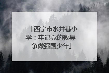 西宁市水井巷小学：牢记党的教导 争做强国少年