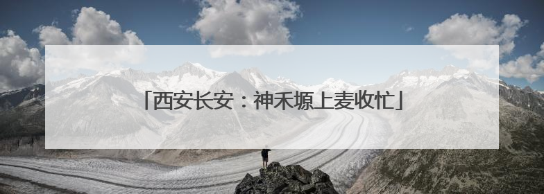 西安长安：神禾塬上麦收忙