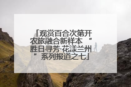 观赏百合次第开 农旅融合新样本 “胜日寻芳·花漾兰州”系列报道之七