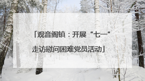 观音阁镇：开展“七一”走访慰问困难党员活动
