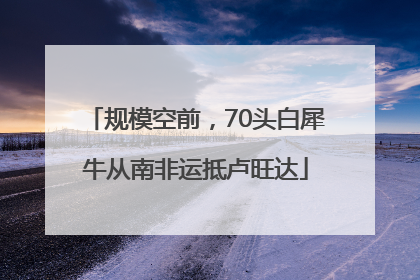规模空前，70头白犀牛从南非运抵卢旺达