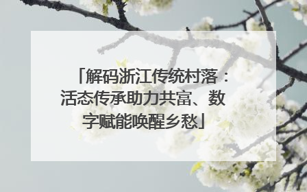 解码浙江传统村落：活态传承助力共富、数字赋能唤醒乡愁