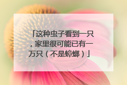 这种虫子看到一只，家里很可能已有一万只（不是蟑螂）