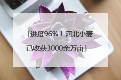 进度96%！河北小麦已收获3000余万亩