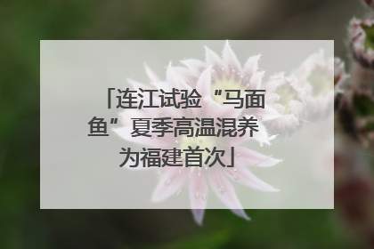 连江试验“马面鱼”夏季高温混养 为福建首次