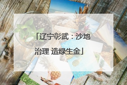 辽宁彰武：沙地治理 造绿生金