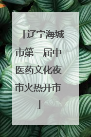 辽宁海城市第一届中医药文化夜市火热开市