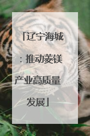 辽宁海城：推动菱镁产业高质量发展