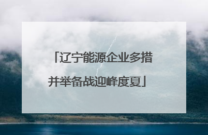 辽宁能源企业多措并举备战迎峰度夏