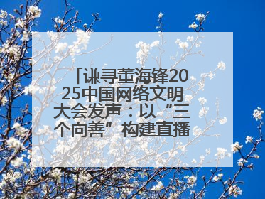 谦寻董海锋2025中国网络文明大会发声：以“三个向善”构建直播电商善意长河