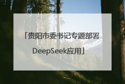 贵阳市委书记专题部署DeepSeek应用