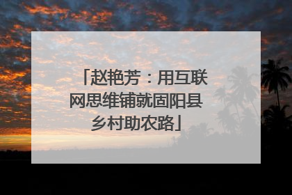 赵艳芳：用互联网思维铺就固阳县乡村助农路