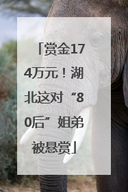 赏金174万元！湖北这对“80后”姐弟被悬赏