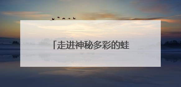 走进神秘多彩的蛙类世界，世纪公园“蛙蛙奇妙夜”开启招募，暑假共18场