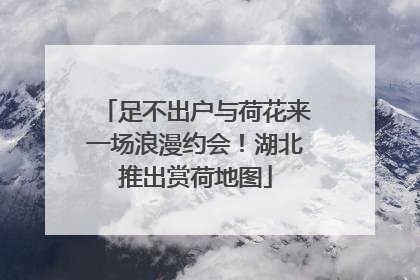 足不出户与荷花来一场浪漫约会！湖北推出赏荷地图