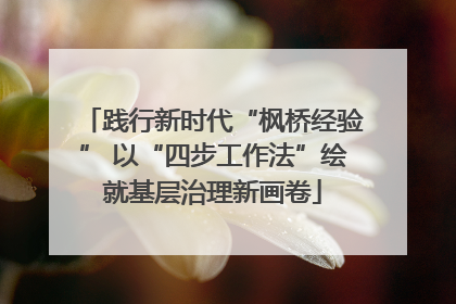 践行新时代“枫桥经验” 以“四步工作法”绘就基层治理新画卷