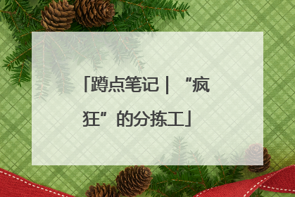 蹲点笔记｜“疯狂”的分拣工
