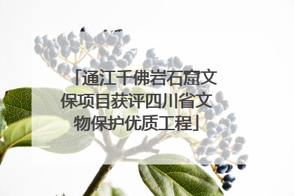 通江千佛岩石窟文保项目获评四川省文物保护优质工程