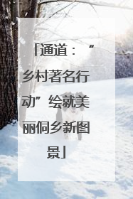 通道：“乡村著名行动”绘就美丽侗乡新图景