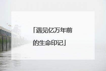 遇见亿万年前的生命印记