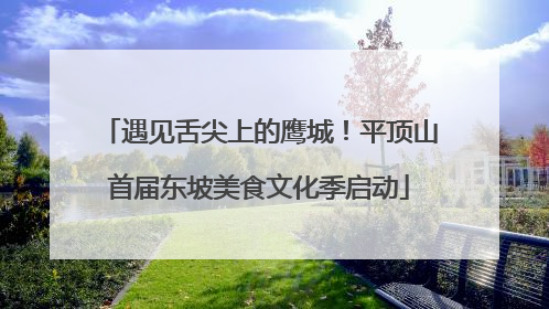 遇见舌尖上的鹰城！平顶山首届东坡美食文化季启动