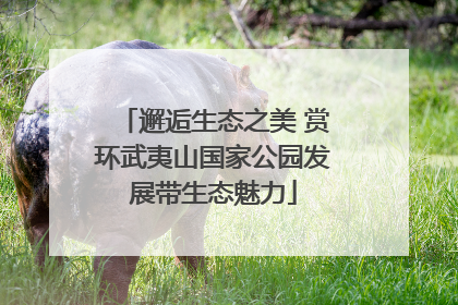邂逅生态之美 赏环武夷山国家公园发展带生态魅力