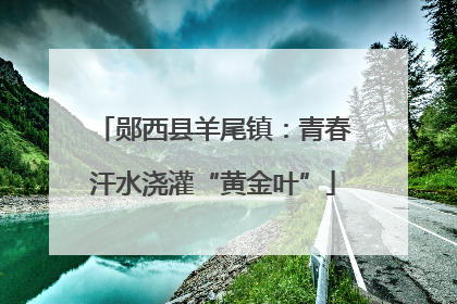 郧西县羊尾镇：青春汗水浇灌“黄金叶”