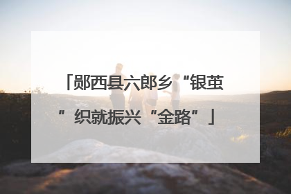 郧西县六郎乡“银茧”织就振兴“金路”
