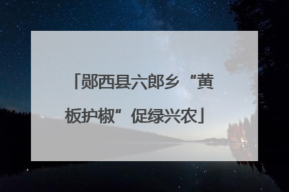 郧西县六郎乡“黄板护椒”促绿兴农