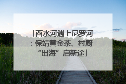 酉水河遇上尼罗河：保靖黄金茶、村厨“出海”启新途