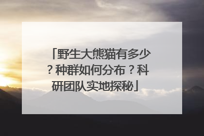野生大熊猫有多少？种群如何分布？科研团队实地探秘