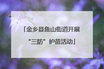 金乡县鱼山街道开展“三防”护苗活动