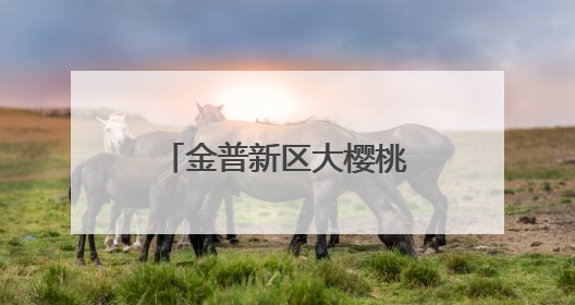 金普新区大樱桃自由尝享季启幕