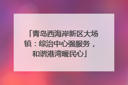 青岛西海岸新区大场镇：综治中心强服务，和谐港湾暖民心