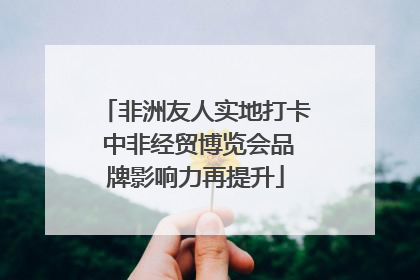 非洲友人实地打卡 中非经贸博览会品牌影响力再提升