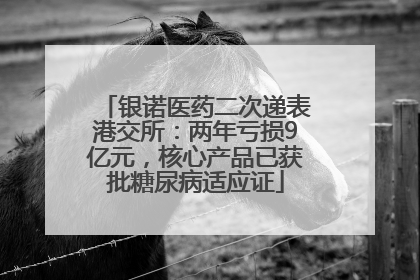 银诺医药二次递表港交所：两年亏损9亿元，核心产品已获批糖尿病适应证