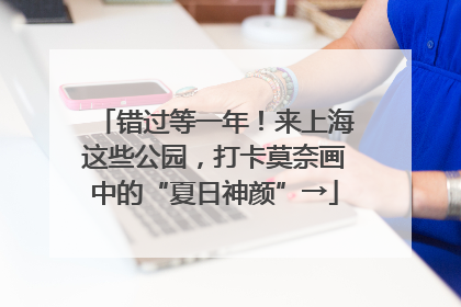 错过等一年！来上海这些公园，打卡莫奈画中的“夏日神颜”→