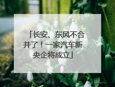 长安、东风不合并了！一家汽车新央企将成立
