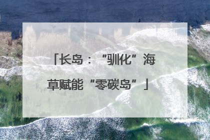 长岛：“驯化”海草赋能“零碳岛”