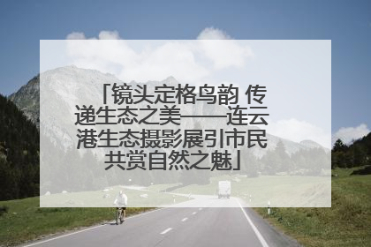 镜头定格鸟韵 传递生态之美——连云港生态摄影展引市民共赏自然之魅