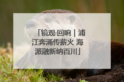镜观·回响｜浦江奔涌传薪火 海派融新纳百川