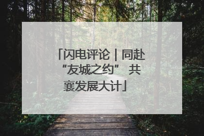 闪电评论｜同赴“友城之约” 共襄发展大计