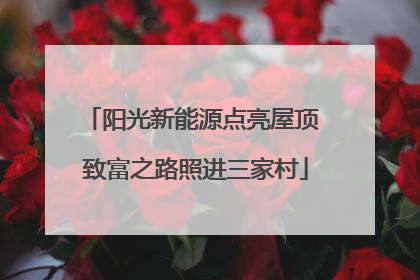 阳光新能源点亮屋顶 致富之路照进三家村