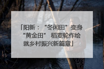 阳新：“冬闲田”变身“黄金田” 稻麦轮作绘就乡村振兴新篇章