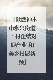 陕西神木市永兴街道：村企结对促产业 和美乡村展新颜